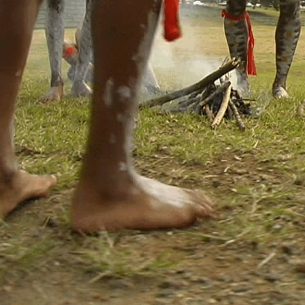 Musgrave Park Cultural Centre - QLD Tourism 1