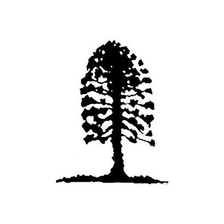 Musgrave Park Cultural Centre - QLD Tourism 2