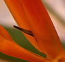 Zen Day Spa - Queensland Tourism