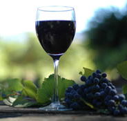 Lion Mill Vineyards - Queensland Tourism