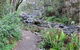 Stevensons Falls - thumb 1