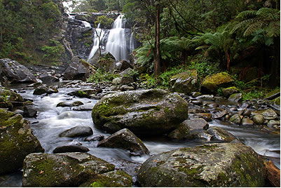 Stevensons Falls - Queensland Tourism 2