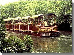 Daintree Rainforest River Trains - QLD Tourism 0