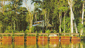 Daintree Rainforest River Trains - QLD Tourism 3