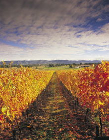 South Melbourne VIC Queensland Tourism