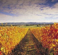 Link Tours - Queensland Tourism
