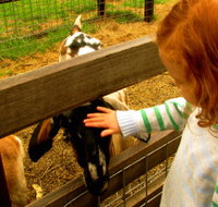Collingwood Children's Farm - Queensland Tourism