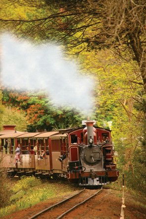 Puffing Billy - QLD Tourism 5