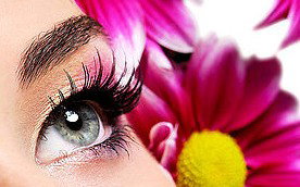 Glow Retreat - QLD Tourism 5