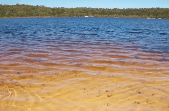 Beach Trekkers North Stradbroke Island - QLD Tourism 1