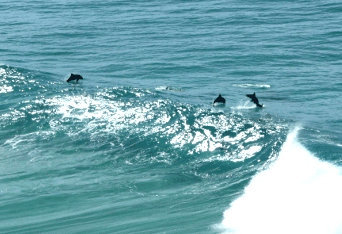 Beach Trekkers North Stradbroke Island - QLD Tourism 2