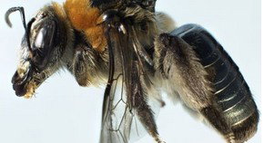 Western Australian Museum - QLD Tourism 0