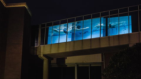 Kingston Arts - Queensland Tourism 8