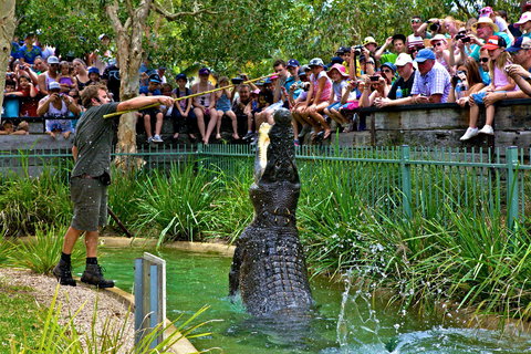 Australian Reptile Park - QLD Tourism 4
