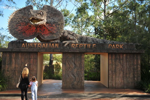 Australian Reptile Park - QLD Tourism 5
