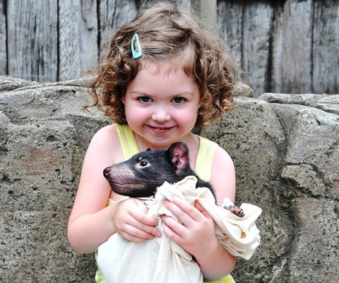 Australian Reptile Park - QLD Tourism 8