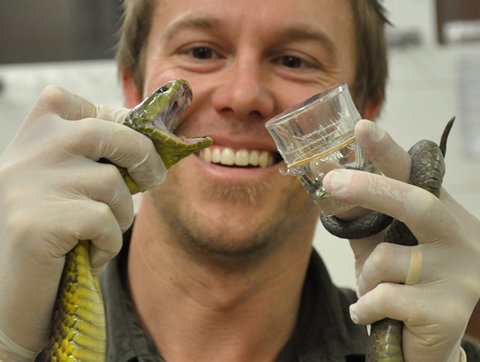 Australian Reptile Park - QLD Tourism 9