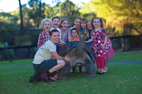 Australian Reptile Park - QLD Tourism 11