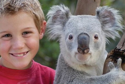 Featherdale Wildlife Park - QLD Tourism 1