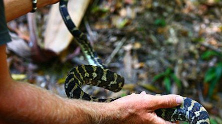 Queensland Day Tours - QLD Tourism 1