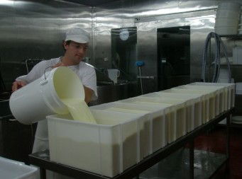 Witches Chase Cheese Co - QLD Tourism 1