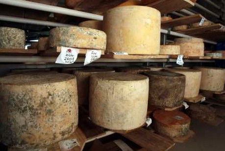 Witches Chase Cheese Co - QLD Tourism 3