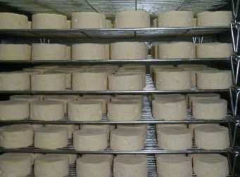 Witches Chase Cheese Co - QLD Tourism 5