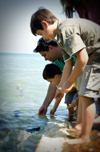 Aquascene Fish Feeding Sanctuary - QLD Tourism 3