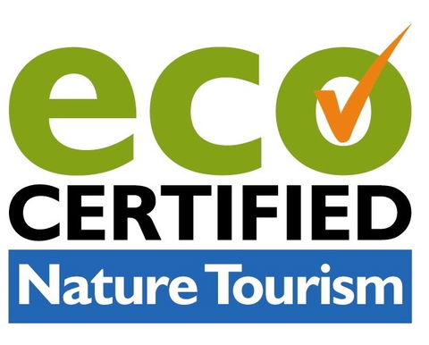 Aquascene Fish Feeding Sanctuary - QLD Tourism 4