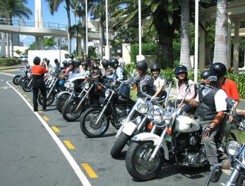 Wildfire Tours - QLD Tourism 1