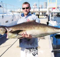 True Blue Fishing Charters - Queensland Tourism