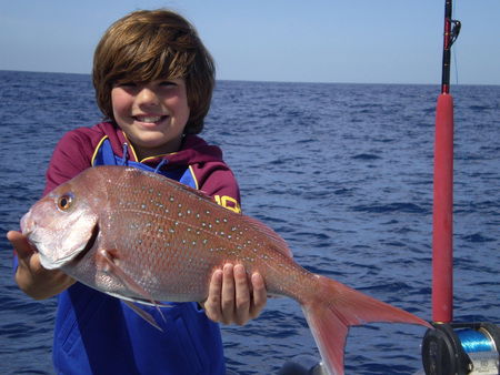 Mills Charters Fishing And Whale Watch Cruises - QLD Tourism 4
