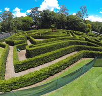 Bellingham Maze - Queensland Tourism