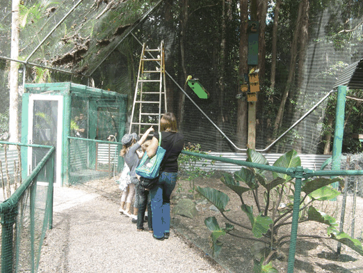 Bellingham Maze - Queensland Tourism 7