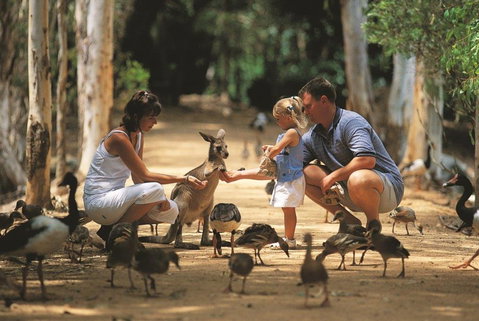 Billabong Sanctuary - QLD Tourism 0