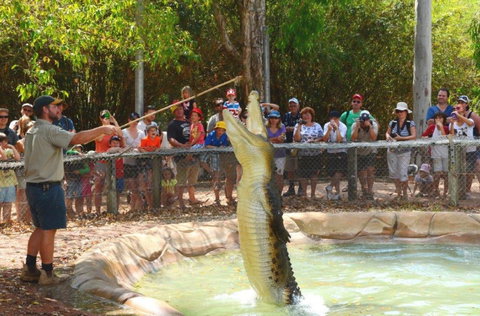Billabong Sanctuary - QLD Tourism 2