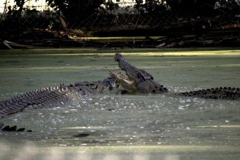 Billabong Sanctuary - QLD Tourism 3