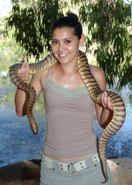 Billabong Sanctuary - QLD Tourism 4