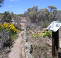 Christmas Rock Walk - Queensland Tourism