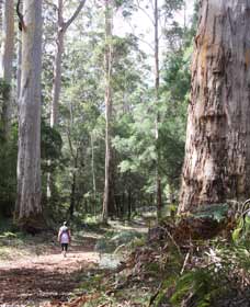  Queensland Tourism