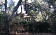 Ghost House Walk Trail, Yanchep National Park - thumb 0