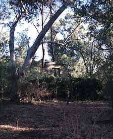 Ghost House Walk Trail, Yanchep National Park - QLD Tourism 0