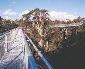  QLD Tourism
