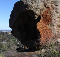Eagle's View Walk John Forrest National Park - Queensland Tourism