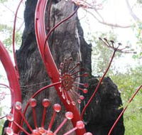 Understory Art In Nature - Queensland Tourism