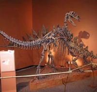 Denmark Dinosaur World - Queensland Tourism