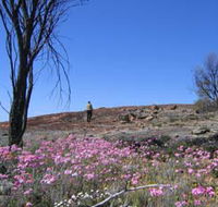 Talgomine Reserve - Queensland Tourism