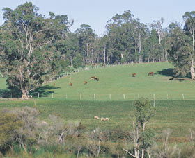 Scenic Drives - Bunbury Collie Donnybrook - QLD Tourism 0