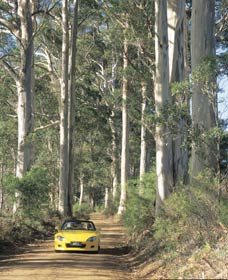 Mount Shadforth Scenic Drive - Queensland Tourism 0