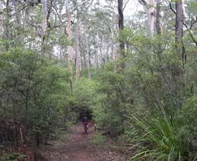  Queensland Tourism